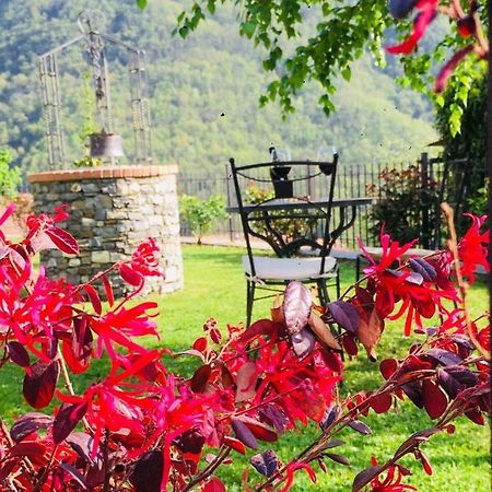 Green House Pieve di Teco ภายนอก รูปภาพ