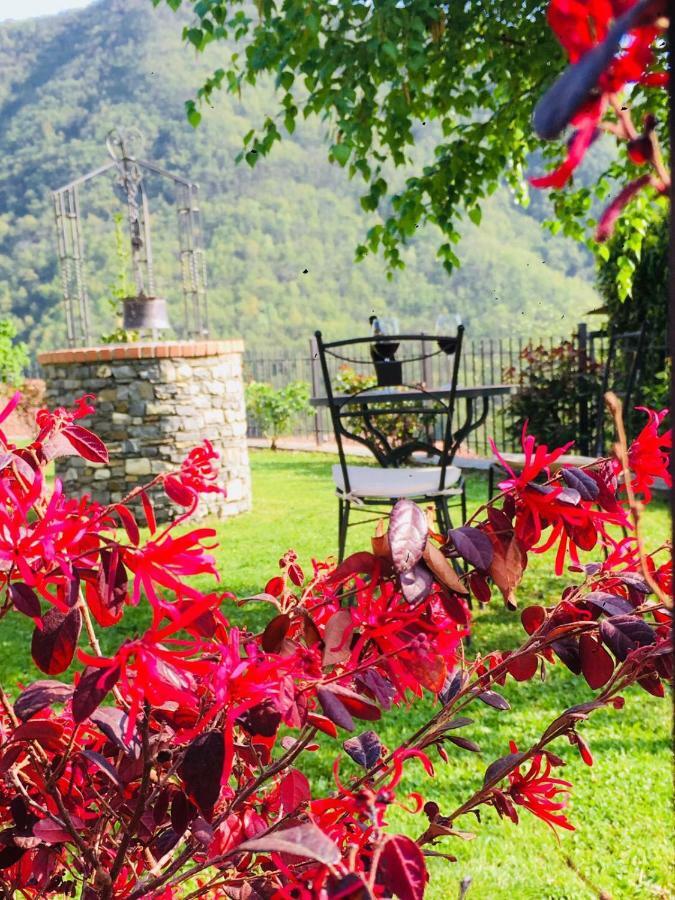 Green House Pieve di Teco ภายนอก รูปภาพ